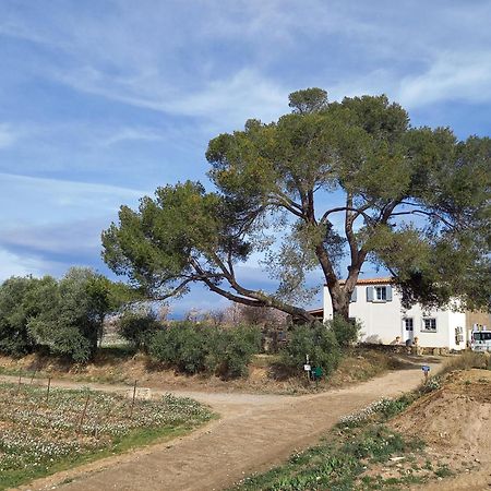 Domaine Saint Augustin Villa Rieux-Minervois ภายนอก รูปภาพ