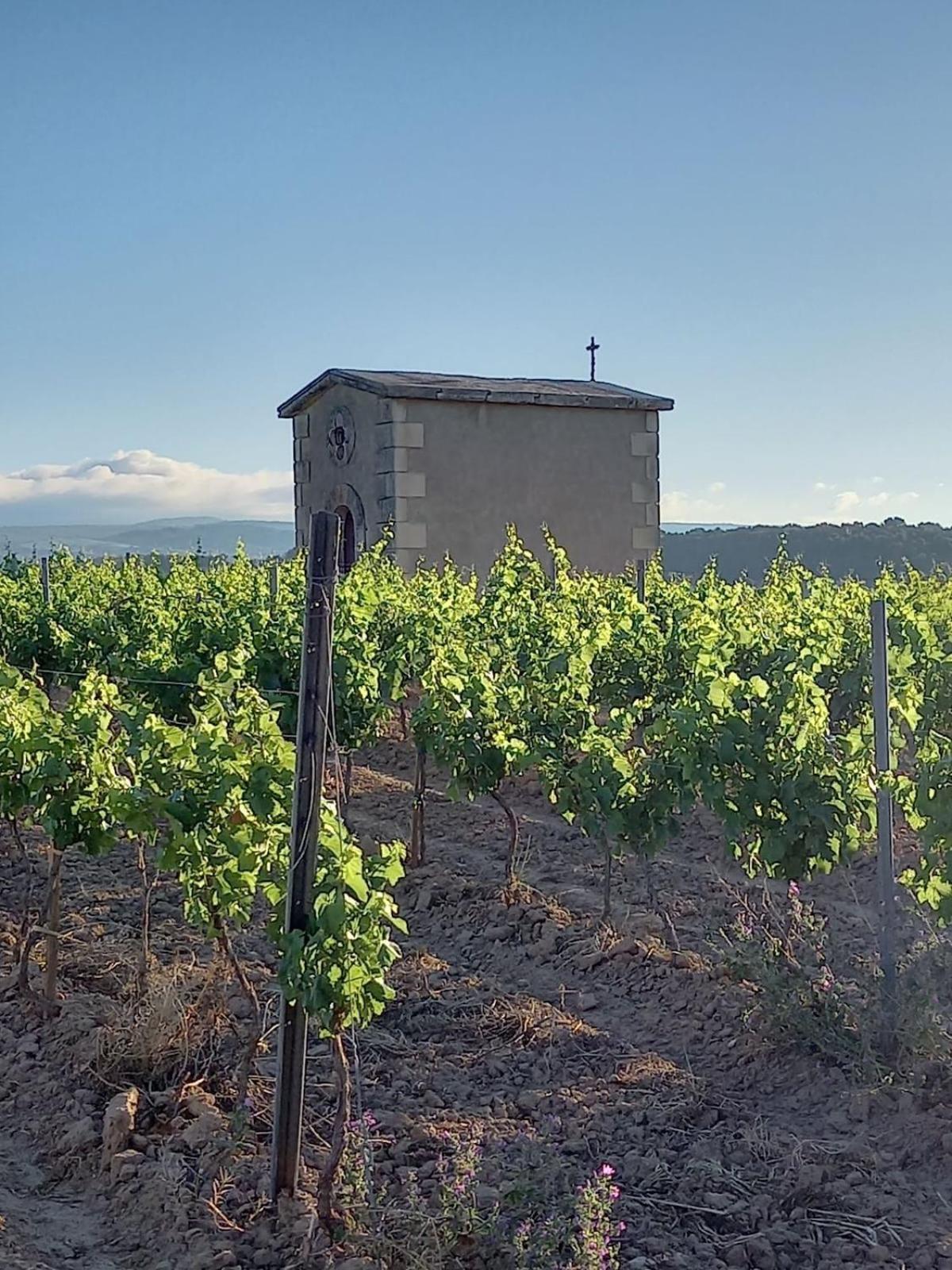 Domaine Saint Augustin Villa Rieux-Minervois ภายนอก รูปภาพ