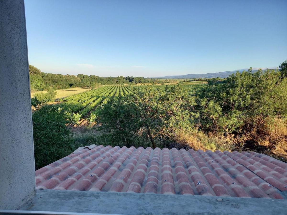 Domaine Saint Augustin Villa Rieux-Minervois ภายนอก รูปภาพ
